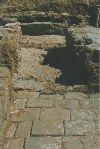 Раскоп XXI 1997г. Центральный дом усадьбы. Коридор с кирпичным полом.